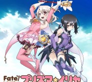 200_【３DS】 Fate/Kaleid linerプリズマ☆イリヤ 通常版 ＆ 限定版